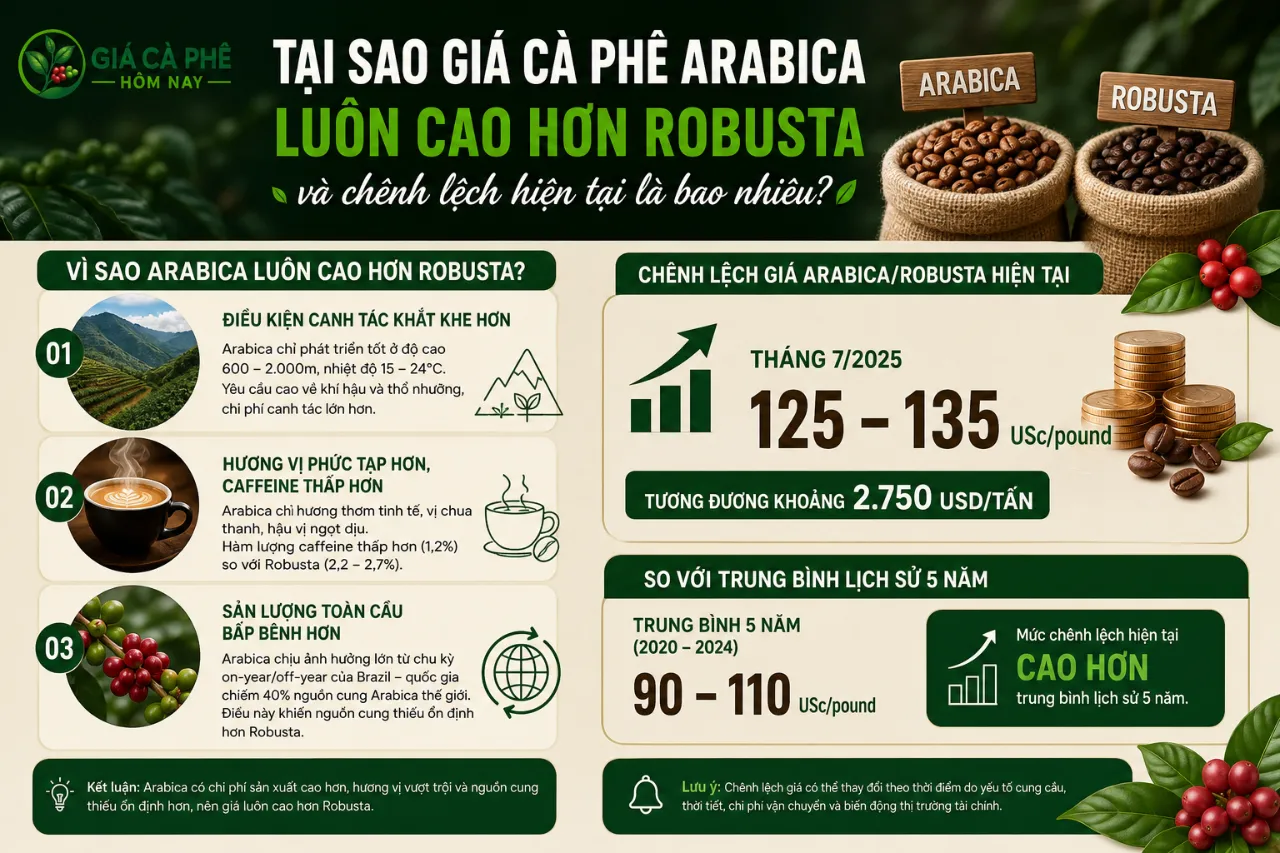 Tại Sao Giá Cà Phê Arabica Luôn Cao Hơn Robusta Và Chênh Lệch Hiện Tại Là Bao Nhiêu?