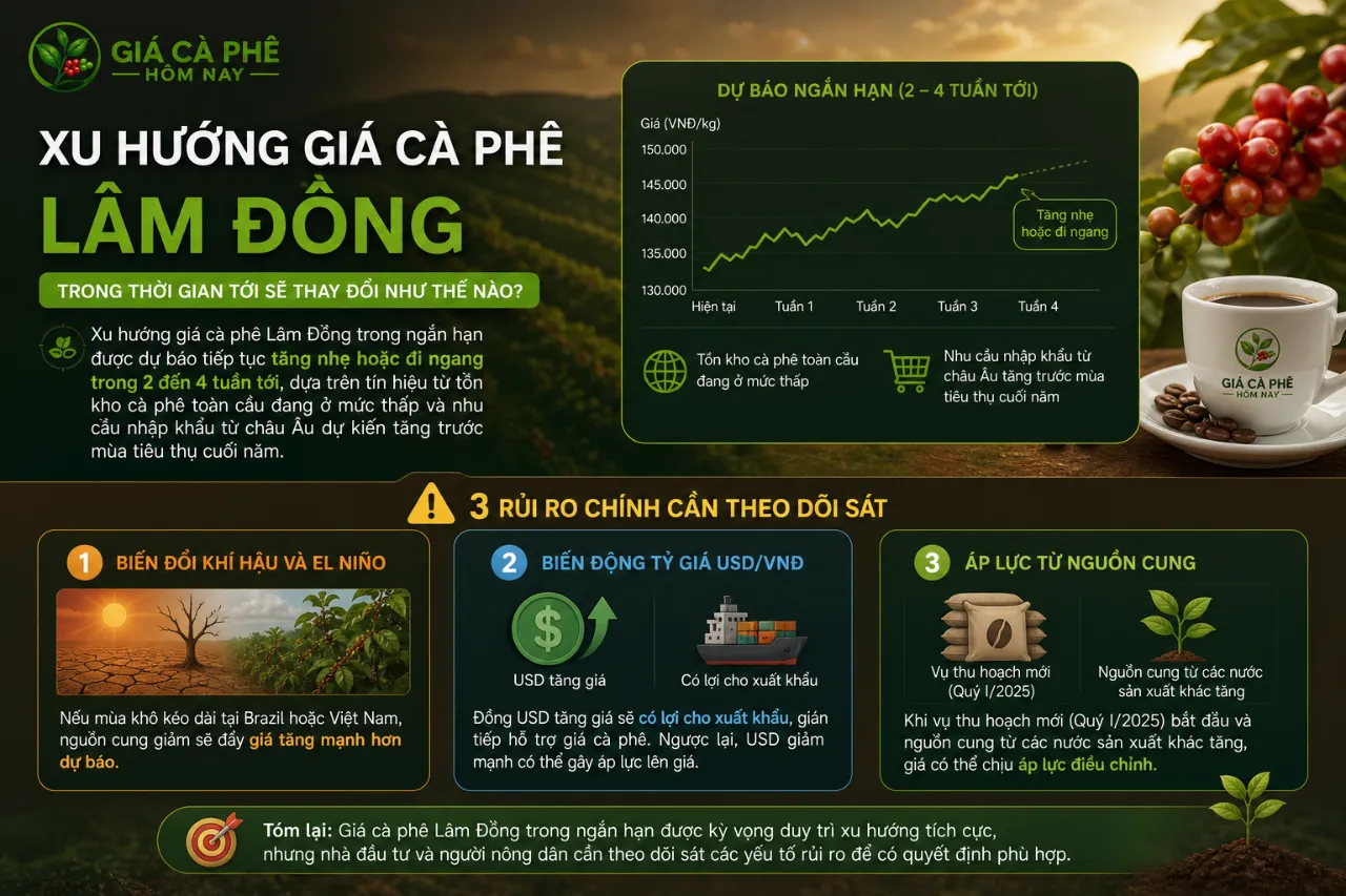 Xu hướng giá cà phê Lâm Đồng trong thời gian tới sẽ thay đổi như thế nào?