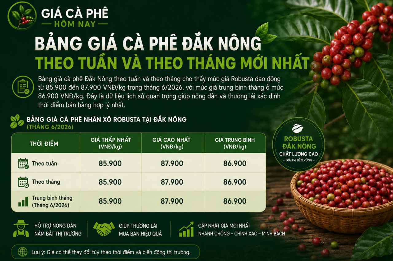 Bảng Giá Cà Phê Đắk Nông Theo Tuần Và Theo Tháng Mới Nhất