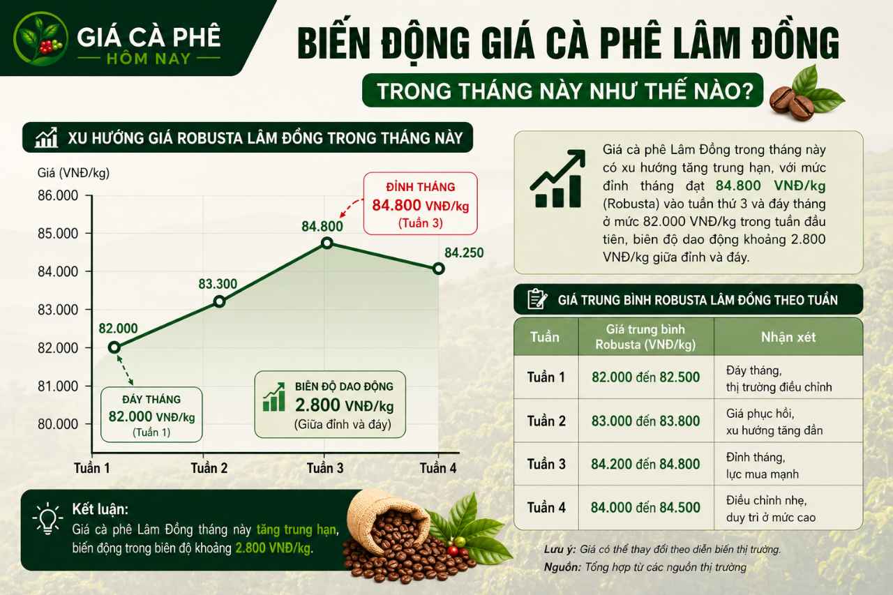 Biến động giá cà phê Lâm Đồng trong tháng này như thế nào?