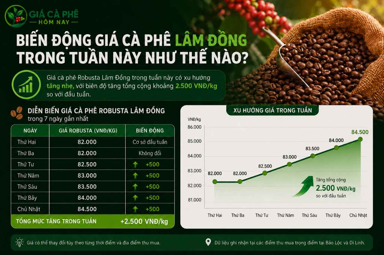 Biến động giá cà phê Lâm Đồng trong tuần này như thế nào?