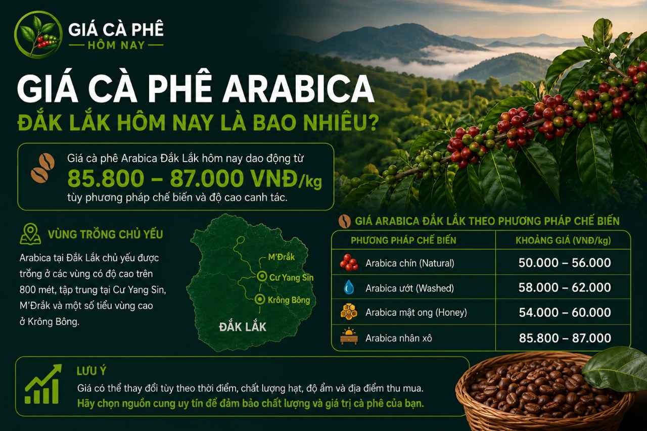 Giá Cà Phê Arabica Đắk Lắk Hôm Nay Là Bao Nhiêu?