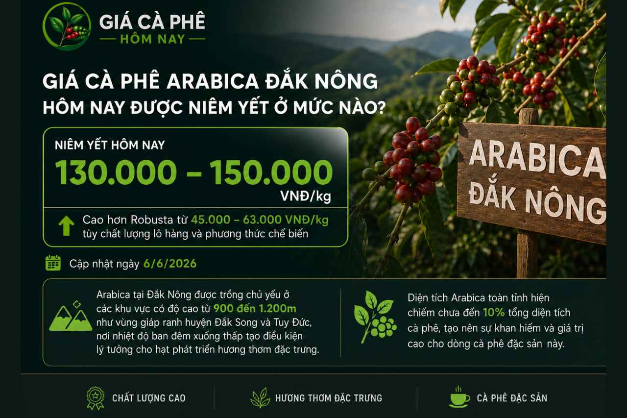 Giá Cà Phê Arabica Đắk Nông Hôm Nay Được Niêm Yết Ở Mức Nào?