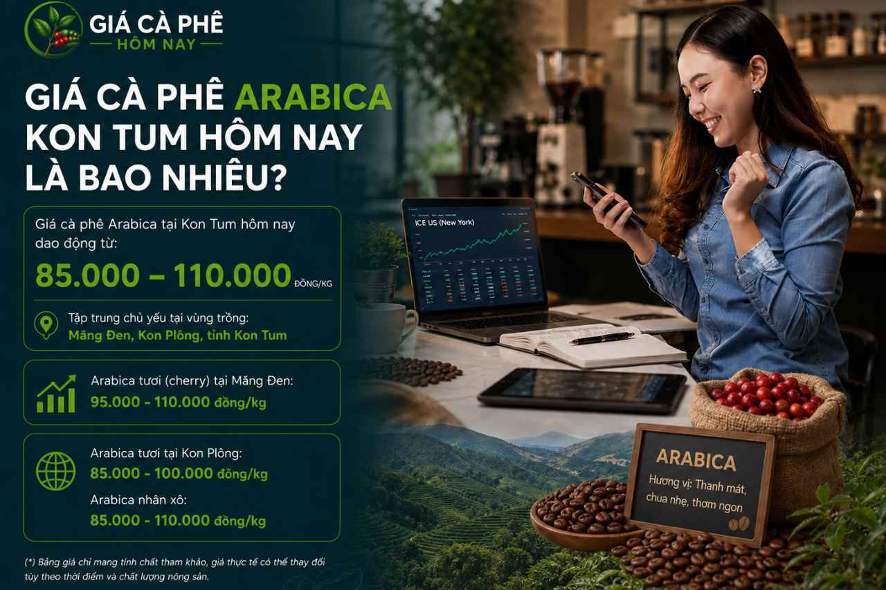 Giá Cà Phê Arabica Trong Nước Hôm Nay Là Bao Nhiêu?