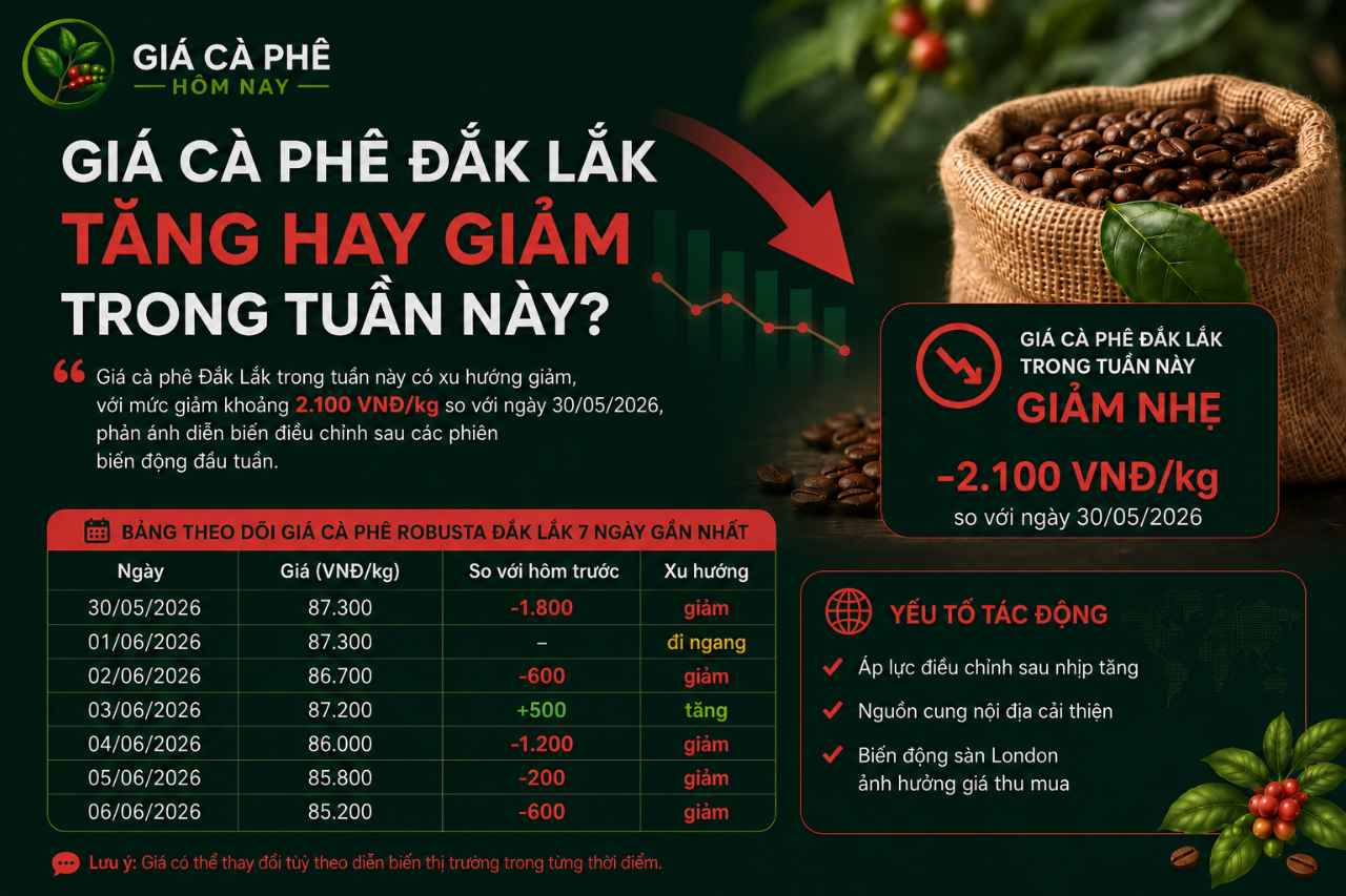 Giá Cà Phê Đắk Lắk Tăng Hay Giảm Trong Tuần Này?