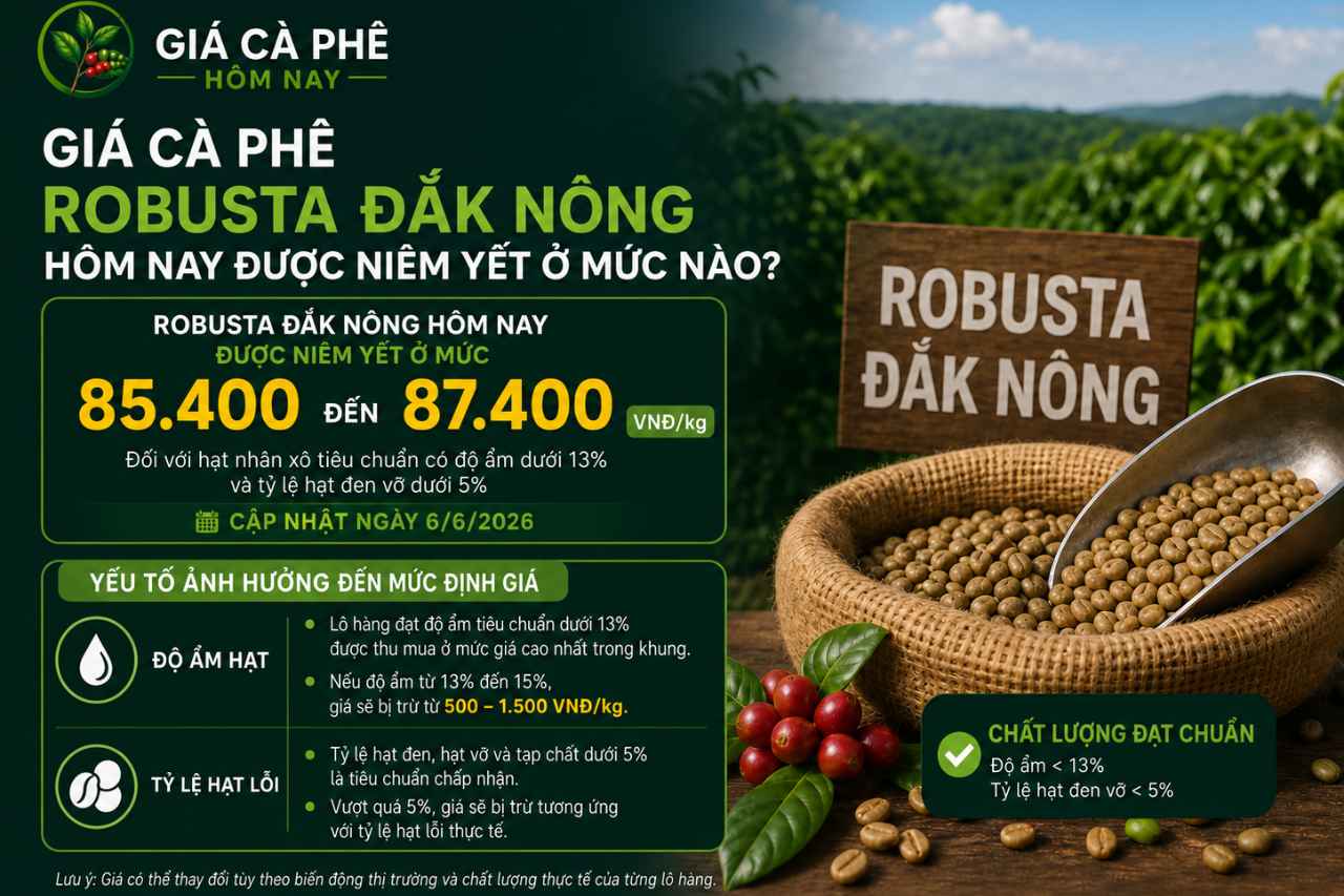 Giá Cà Phê Robusta Đắk Nông Hôm Nay Được Niêm Yết Ở Mức Nào?