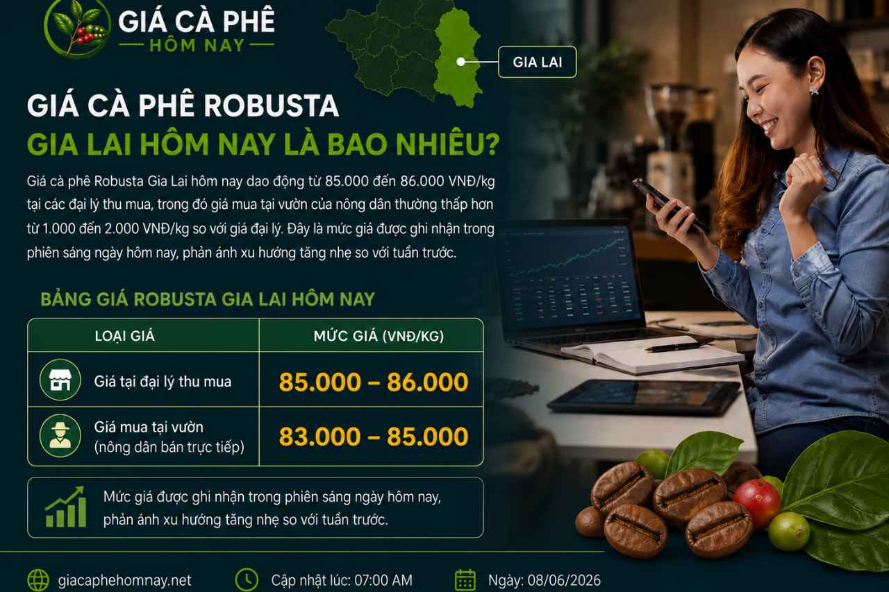 Giá Cà Phê Robusta Gia Lai Hôm Nay Là Bao Nhiêu?