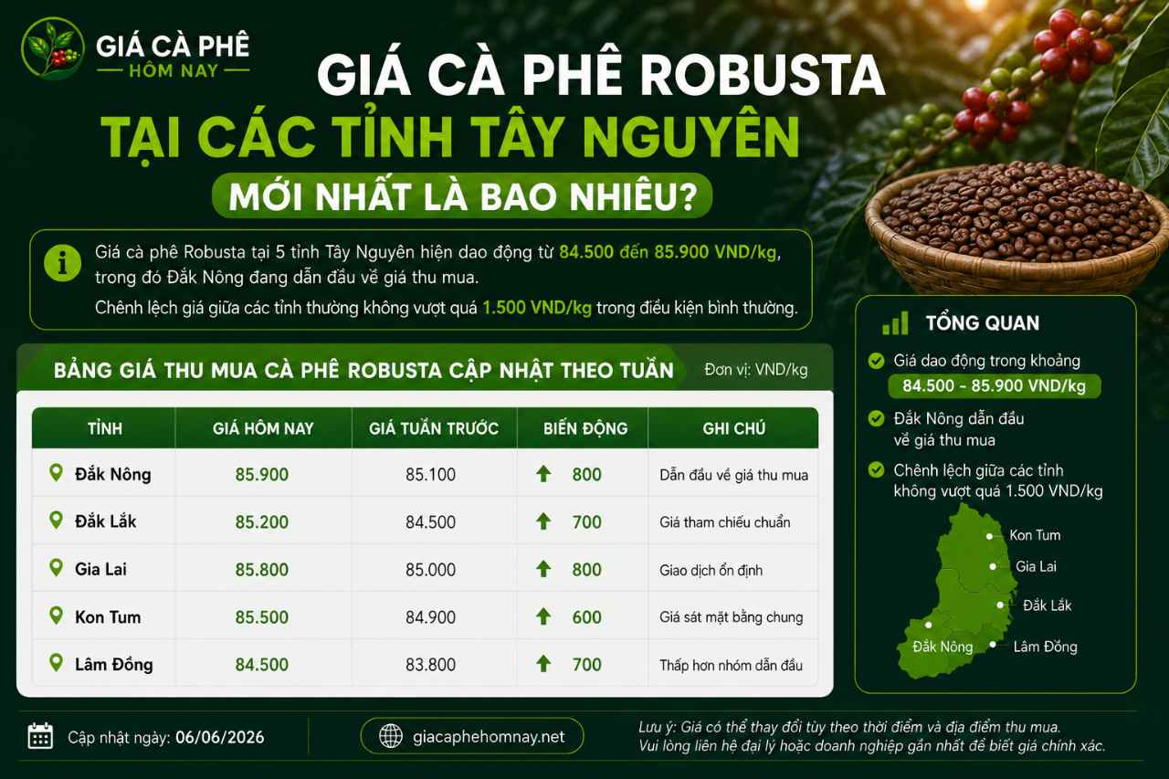 Giá Cà Phê Robusta Tại Các Tỉnh Tây Nguyên Mới Nhất Là Bao Nhiêu?