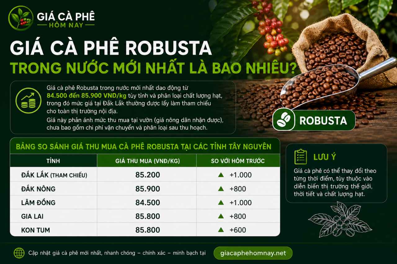 Giá Cà Phê Robusta Trong Nước Mới Nhất Là Bao Nhiêu?