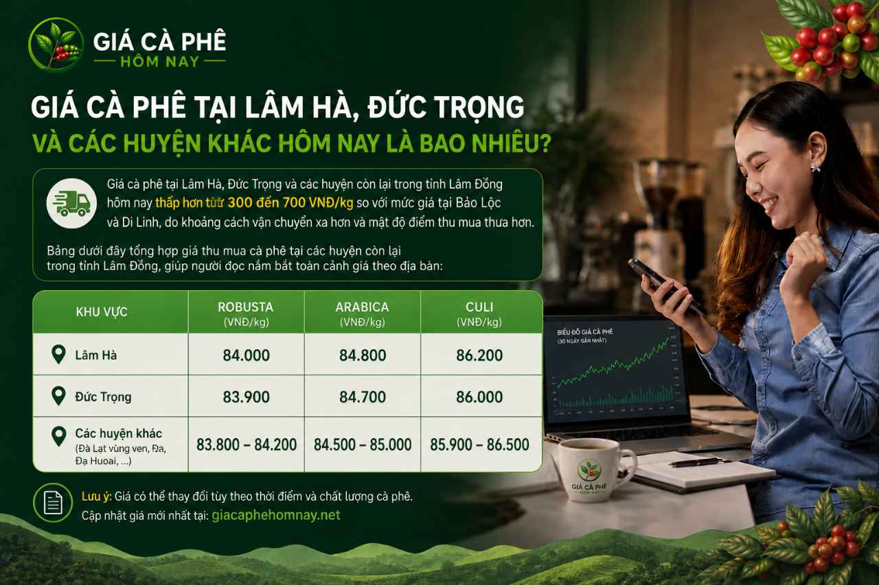 Giá cà phê tại Lâm Hà, Đức Trọng và các huyện khác hôm nay là bao nhiêu?