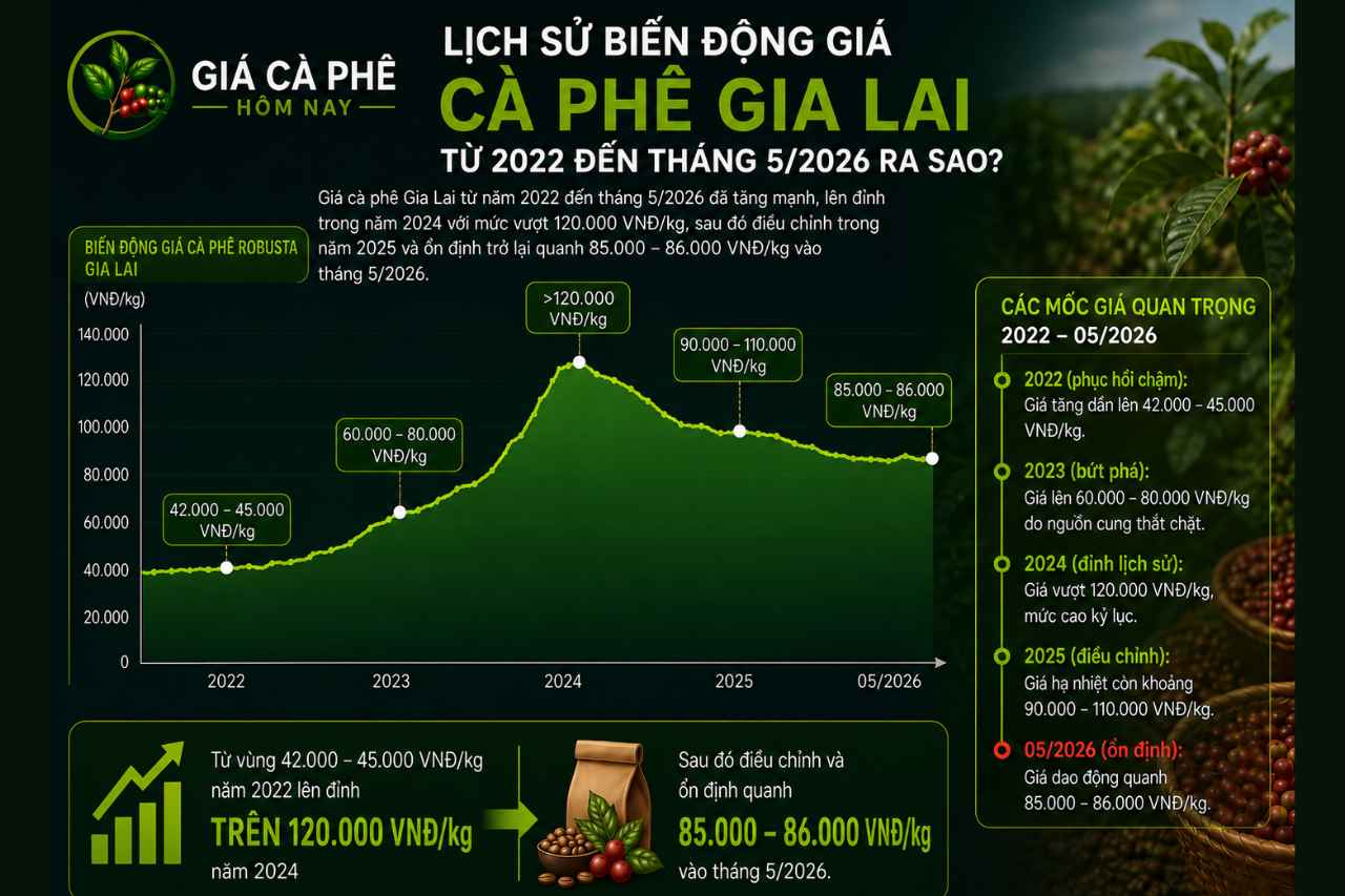 Lịch Sử Biến Động Giá Cà Phê Gia Lai Trong 5 Năm Gần Đây Ra Sao?