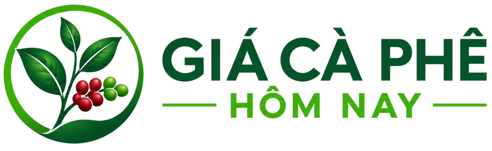 Giá Cà Phê Hôm Nay