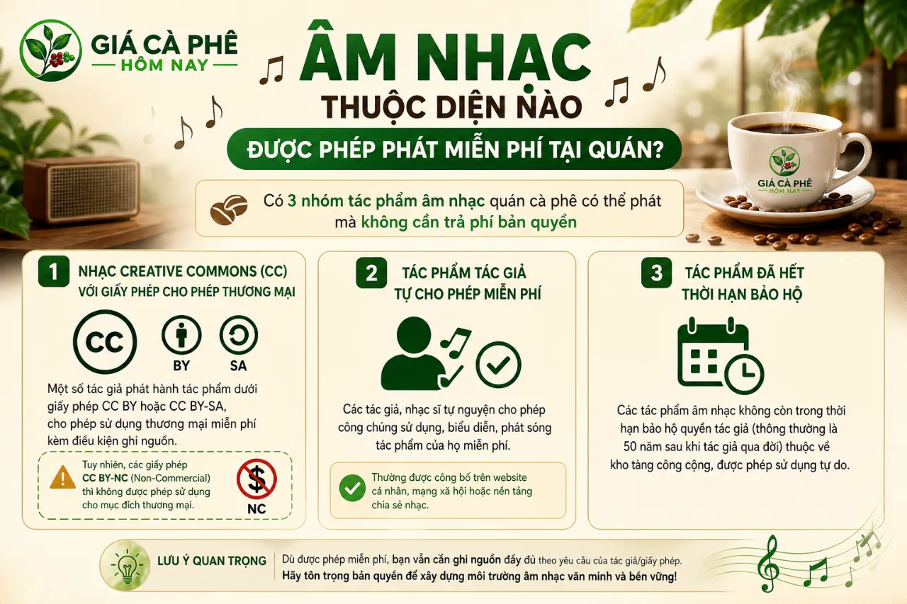 Âm Nhạc Thuộc Diện Nào Được Phép Phát Miễn Phí Tại Quán?
