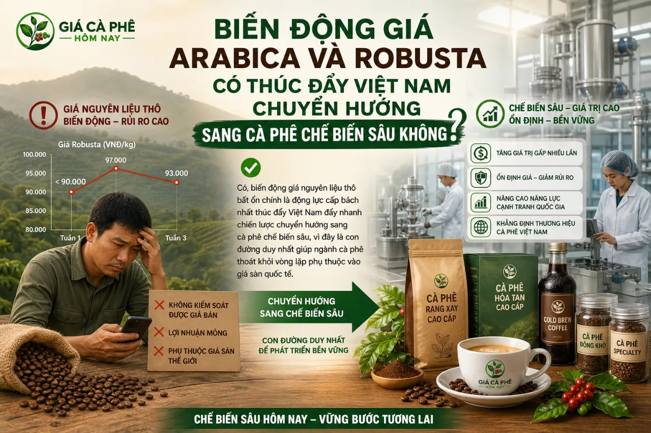 Biến Động Giá Arabica và Robusta Có Thúc Đẩy Việt Nam Chuyển Hướng Sang Cà Phê Chế Biến Sâu Không?