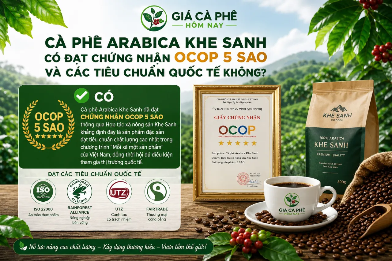 Cà Phê Arabica Khe Sanh Có Đạt Chứng Nhận OCOP 5 Sao Và Các Tiêu Chuẩn Quốc Tế Không?
