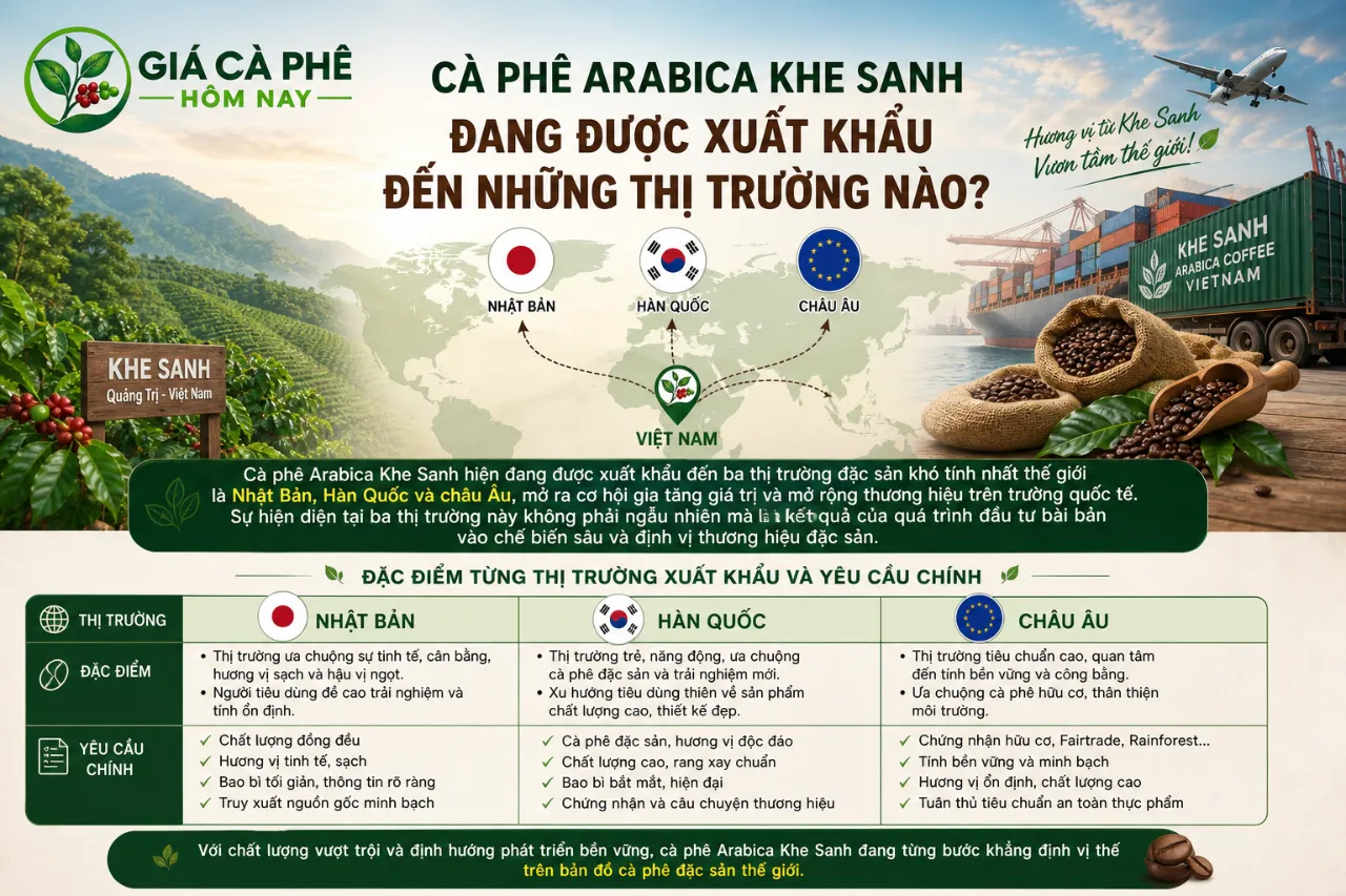 Cà Phê Arabica Khe Sanh Đang Được Xuất Khẩu Đến Những Thị Trường Nào?