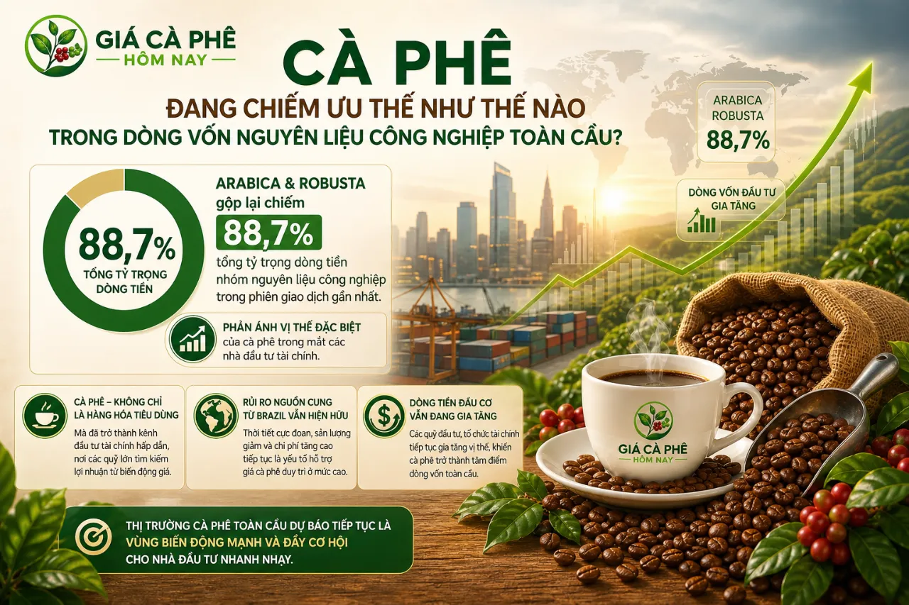Cà Phê Đang Chiếm Ưu Thế Như Thế Nào Trong Dòng Vốn Nguyên Liệu Công Nghiệp Toàn Cầu?