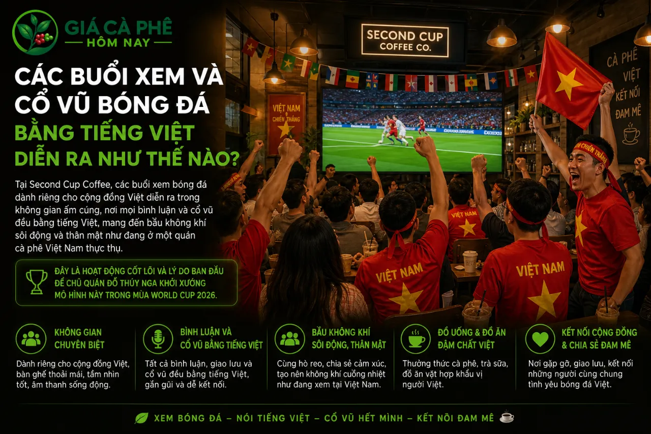 Các Buổi Xem Và Cổ Vũ Bóng Đá Bằng Tiếng Việt Diễn Ra Như Thế Nào?