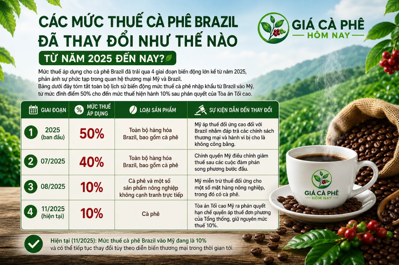 Các Mức Thuế Cà Phê Brazil Đã Thay Đổi Như Thế Nào Từ Năm 2025 Đến Nay?