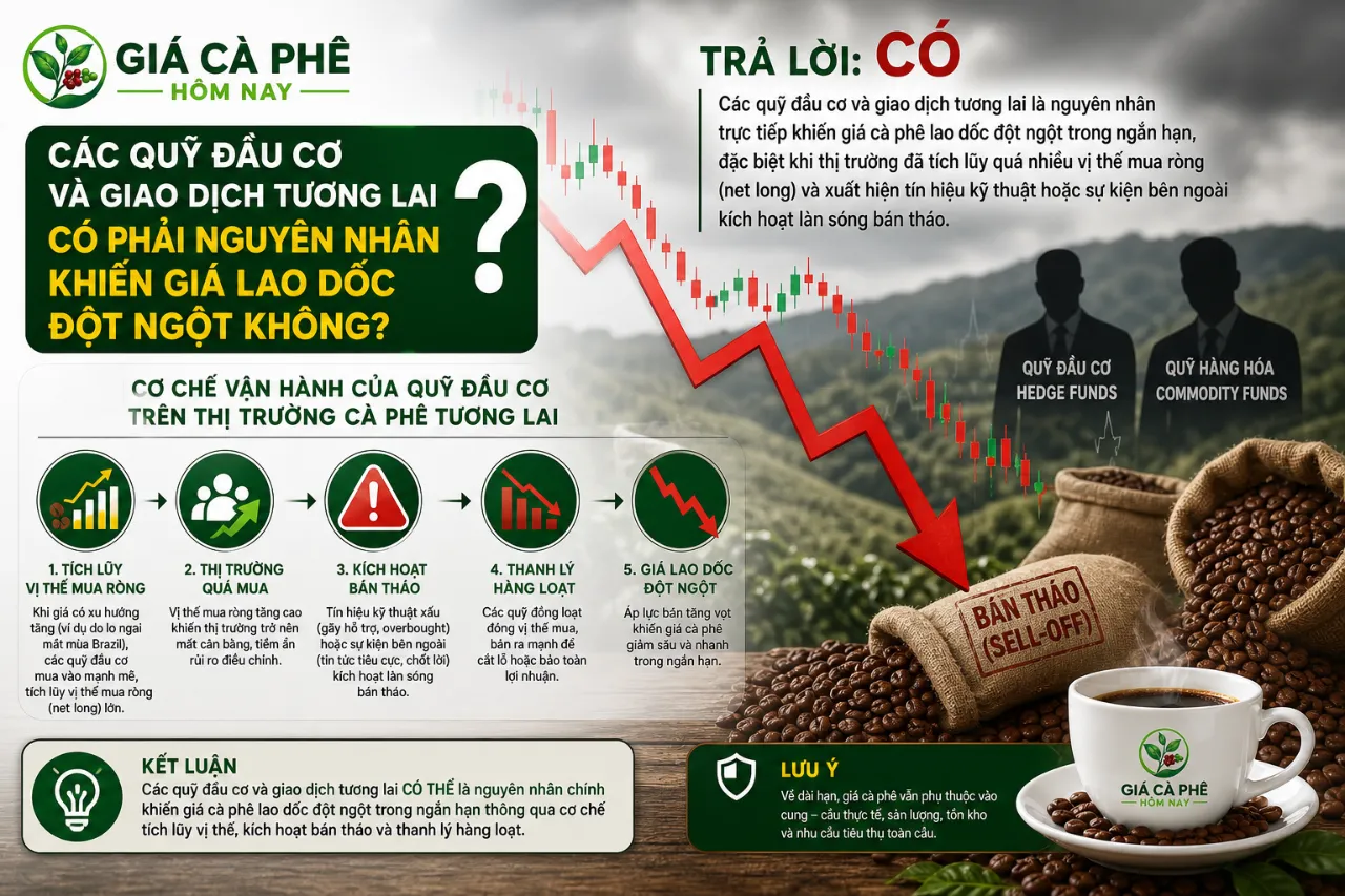 Các Quỹ Đầu Cơ và Giao Dịch Tương Lai Có Phải Nguyên Nhân Khiến Giá Lao Dốc Đột Ngột Không?