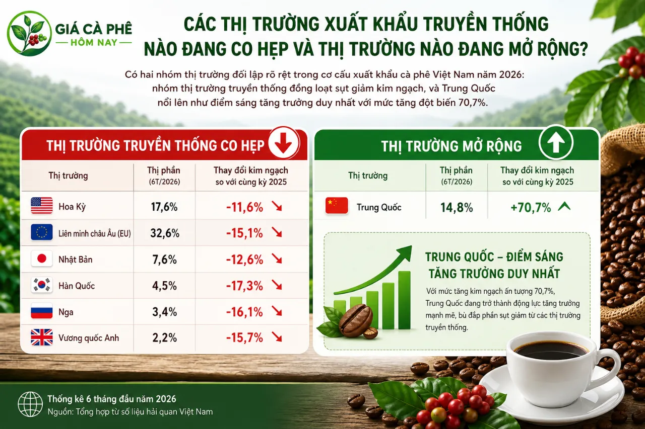 Các thị trường xuất khẩu truyền thống nào đang co hẹp và thị trường nào đang mở rộng?