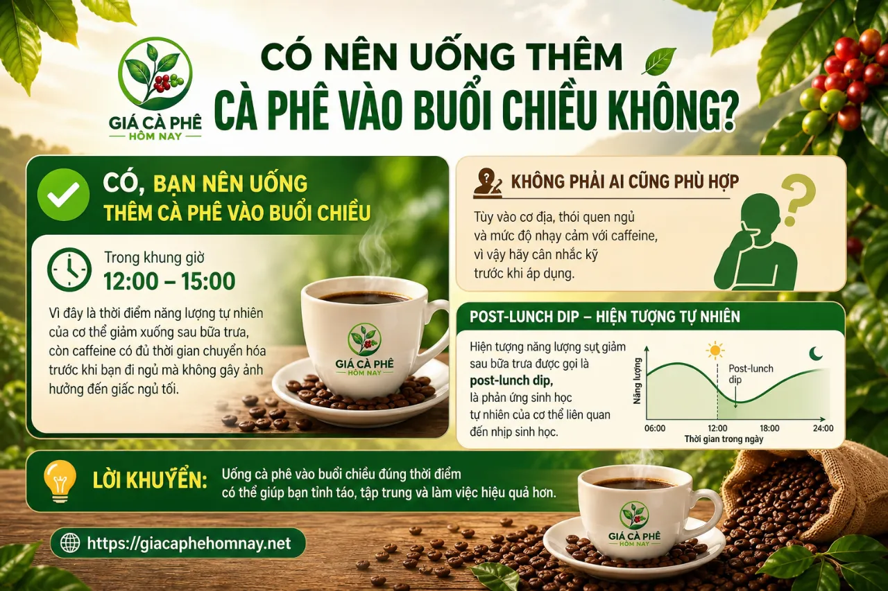 Có Nên Uống Thêm Cà Phê Vào Buổi Chiều Không?