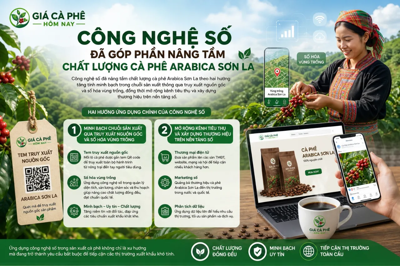 Công Nghệ Số Đã Góp Phần Nâng Tầm Chất Lượng Cà Phê Arabica Sơn La Như Thế Nào?