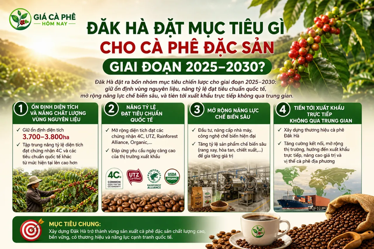 Đăk Hà Đặt Mục Tiêu Gì Cho Cà Phê Đặc Sản Giai Đoạn 2025–2030?