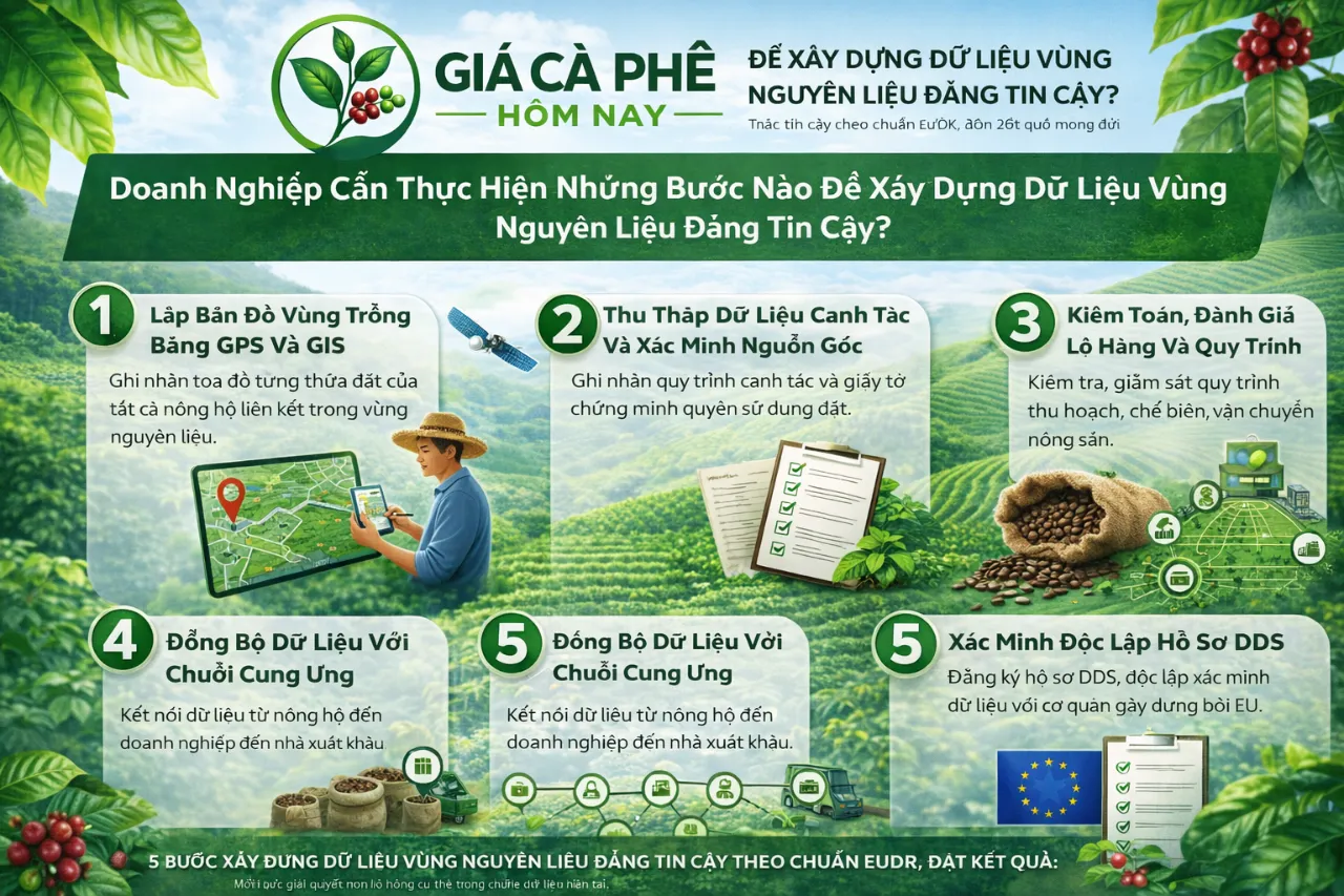 Doanh Nghiệp Cần Thực Hiện Những Bước Nào Để Xây Dựng Dữ Liệu Vùng Nguyên Liệu Đáng Tin Cậy?