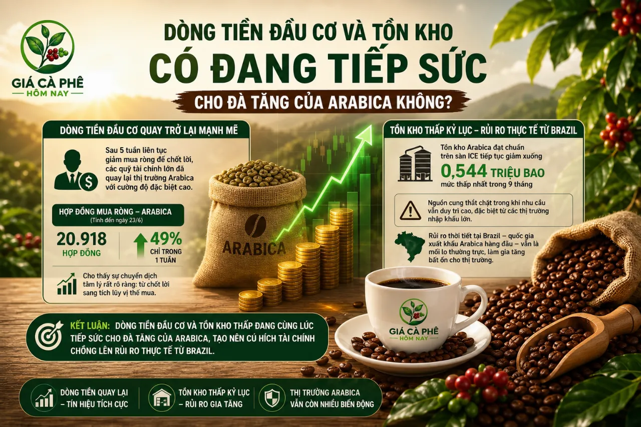 Dòng Tiền Đầu Cơ Và Tồn Kho Có Đang Tiếp Sức Cho Đà Tăng Của Arabica Không?