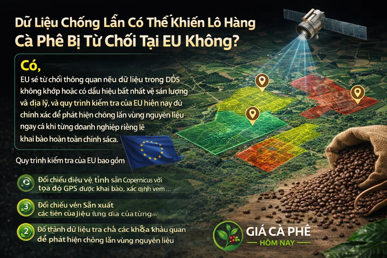 Dữ Liệu Chồng Lấn Có Thể Khiến Lô Hàng Cà Phê Bị Từ Chối Tại EU Không?