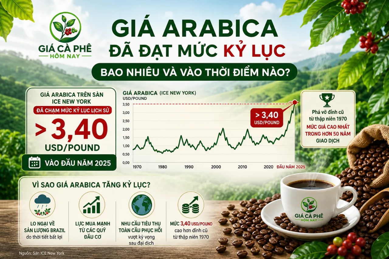 Giá Arabica Đã Đạt Mức Kỷ Lục Bao Nhiêu và Vào Thời Điểm Nào?