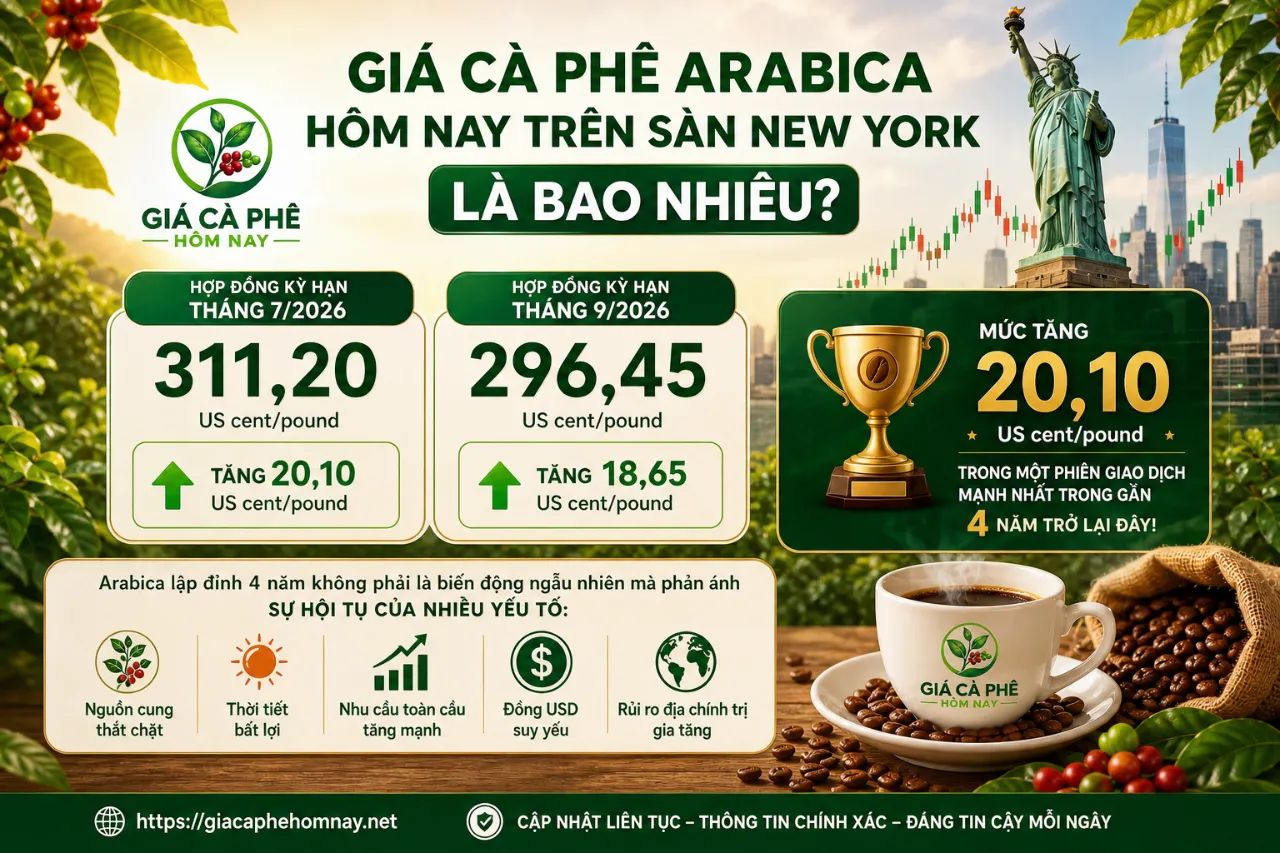 Giá Cà Phê Arabica Hôm Nay Trên Sàn New York Là Bao Nhiêu?