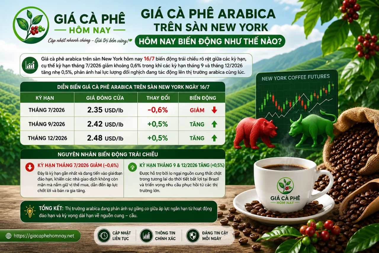 Giá Cà Phê Arabica Trên Sàn New York Hôm Nay Biến Động Như Thế Nào?