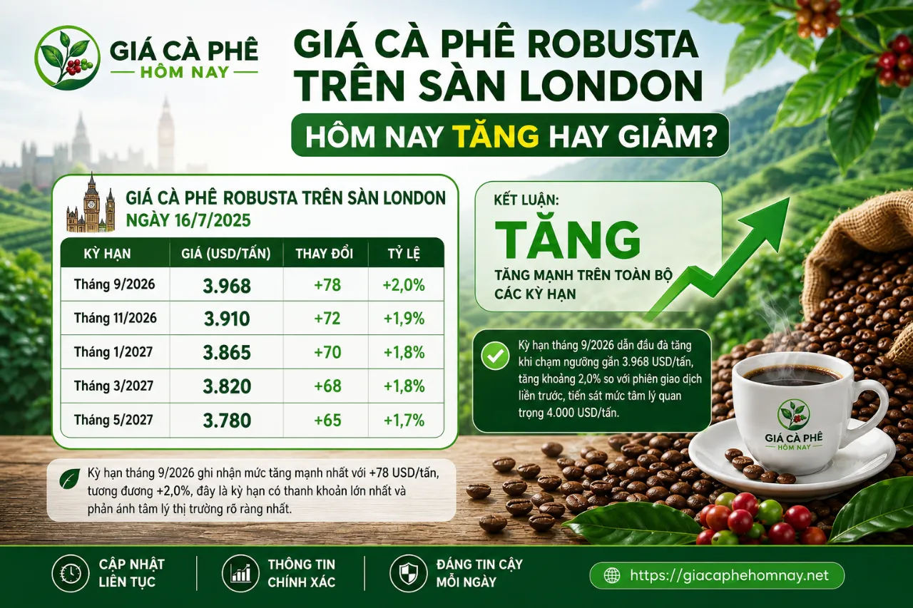 Giá Cà Phê Robusta Trên Sàn London Hôm Nay Tăng Hay Giảm?