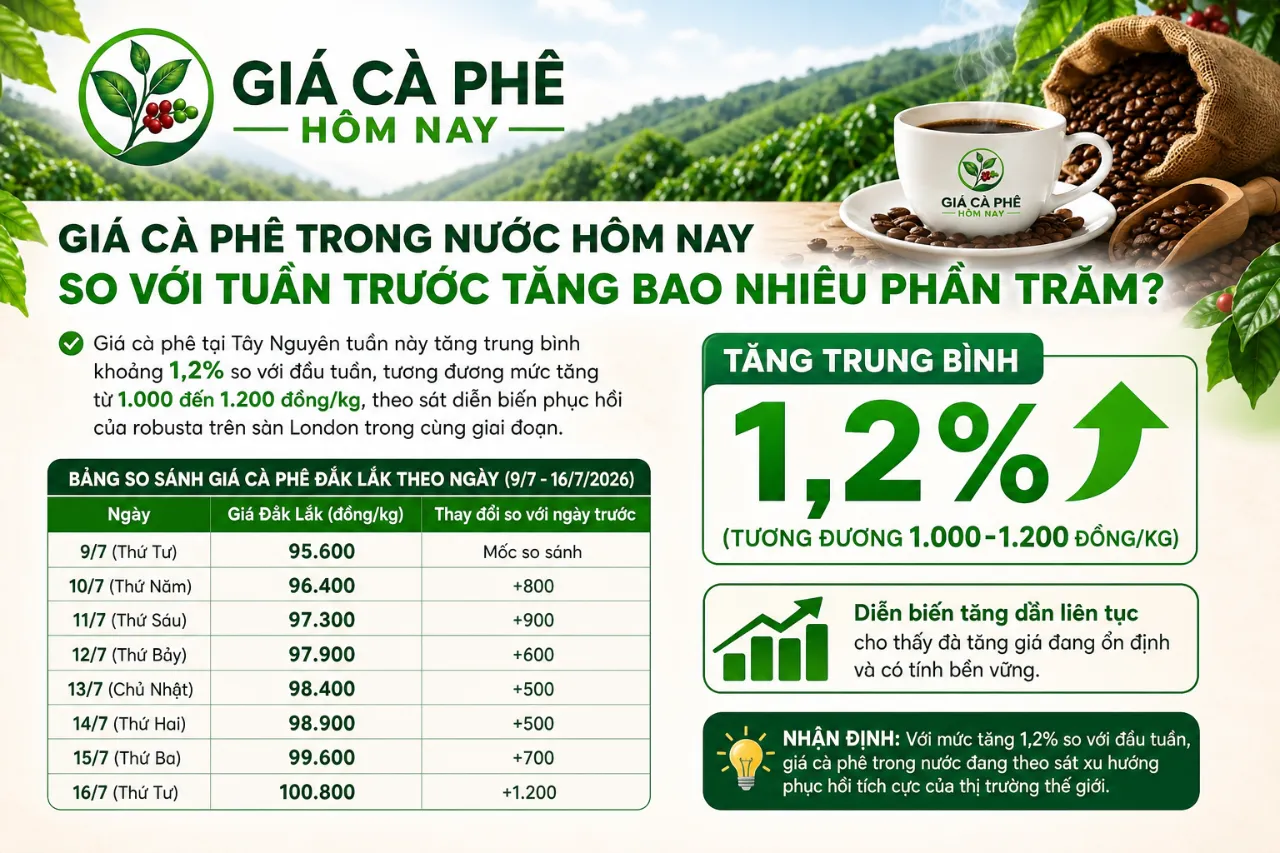 Giá Cà Phê Trong Nước Hôm Nay So Với Tuần Trước Tăng Bao Nhiêu Phần Trăm?