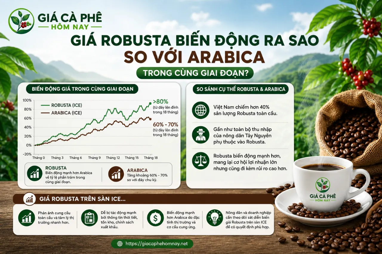 Giá Robusta Biến Động Ra Sao So Với Arabica Trong Cùng Giai Đoạn?