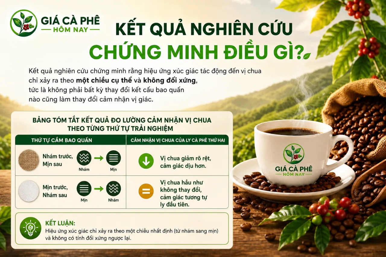 Kết Quả Nghiên Cứu Chứng Minh Điều Gì?