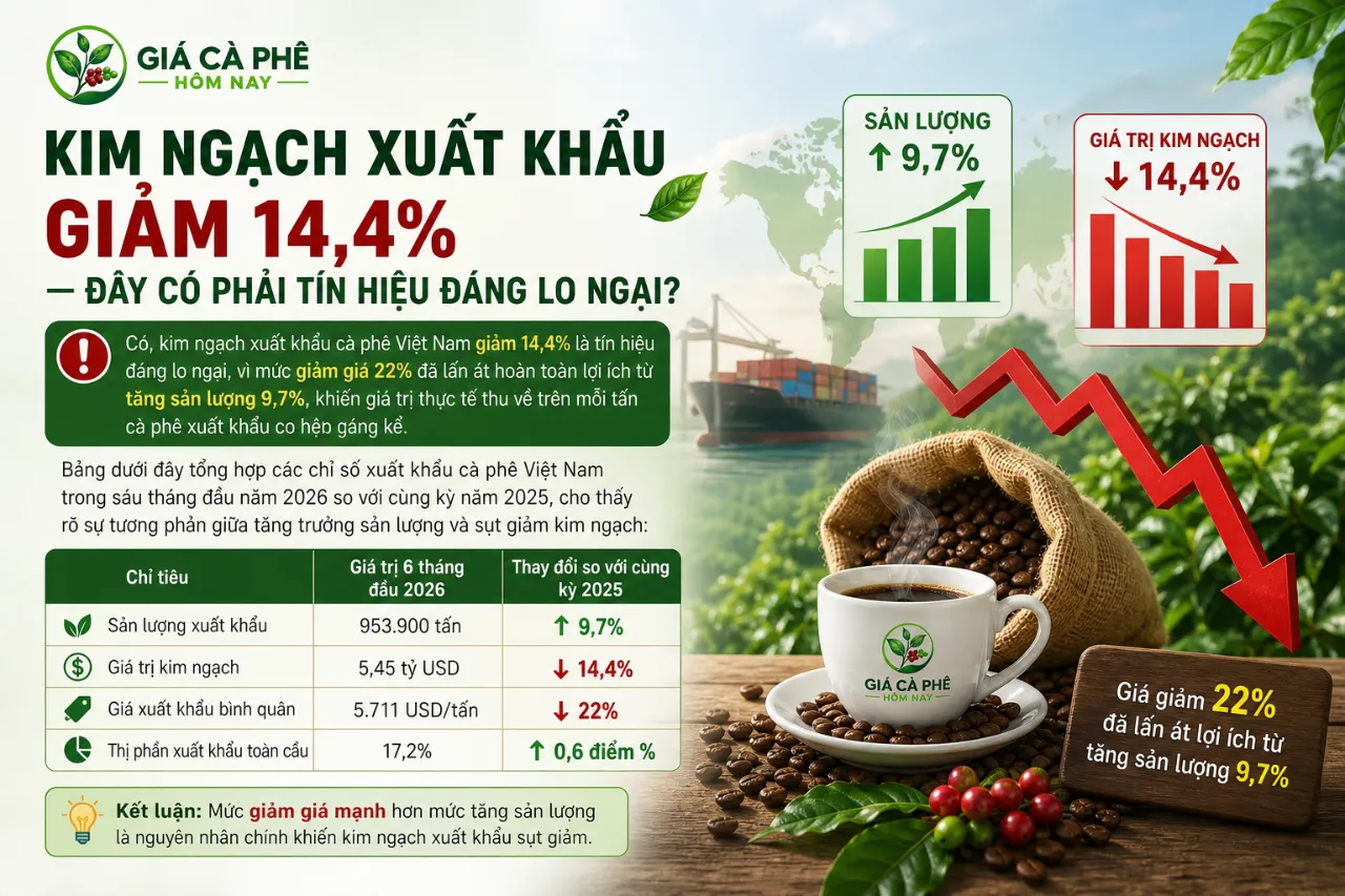 Kim ngạch xuất khẩu giảm 14,4% — đây có phải tín hiệu đáng lo ngại không?