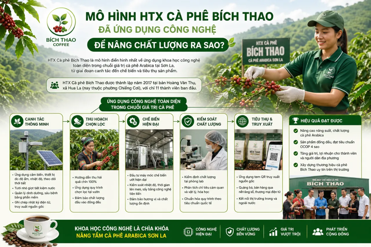 Mô Hình HTX Cà Phê Bích Thao Đã Ứng Dụng Công Nghệ Để Nâng Chất Lượng Ra Sao?