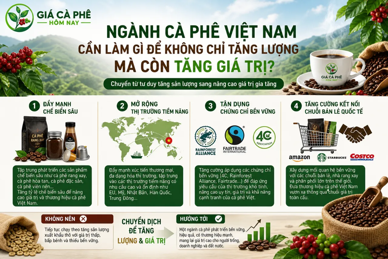 Ngành cà phê Việt Nam cần làm gì để không chỉ tăng lượng mà còn tăng giá trị?