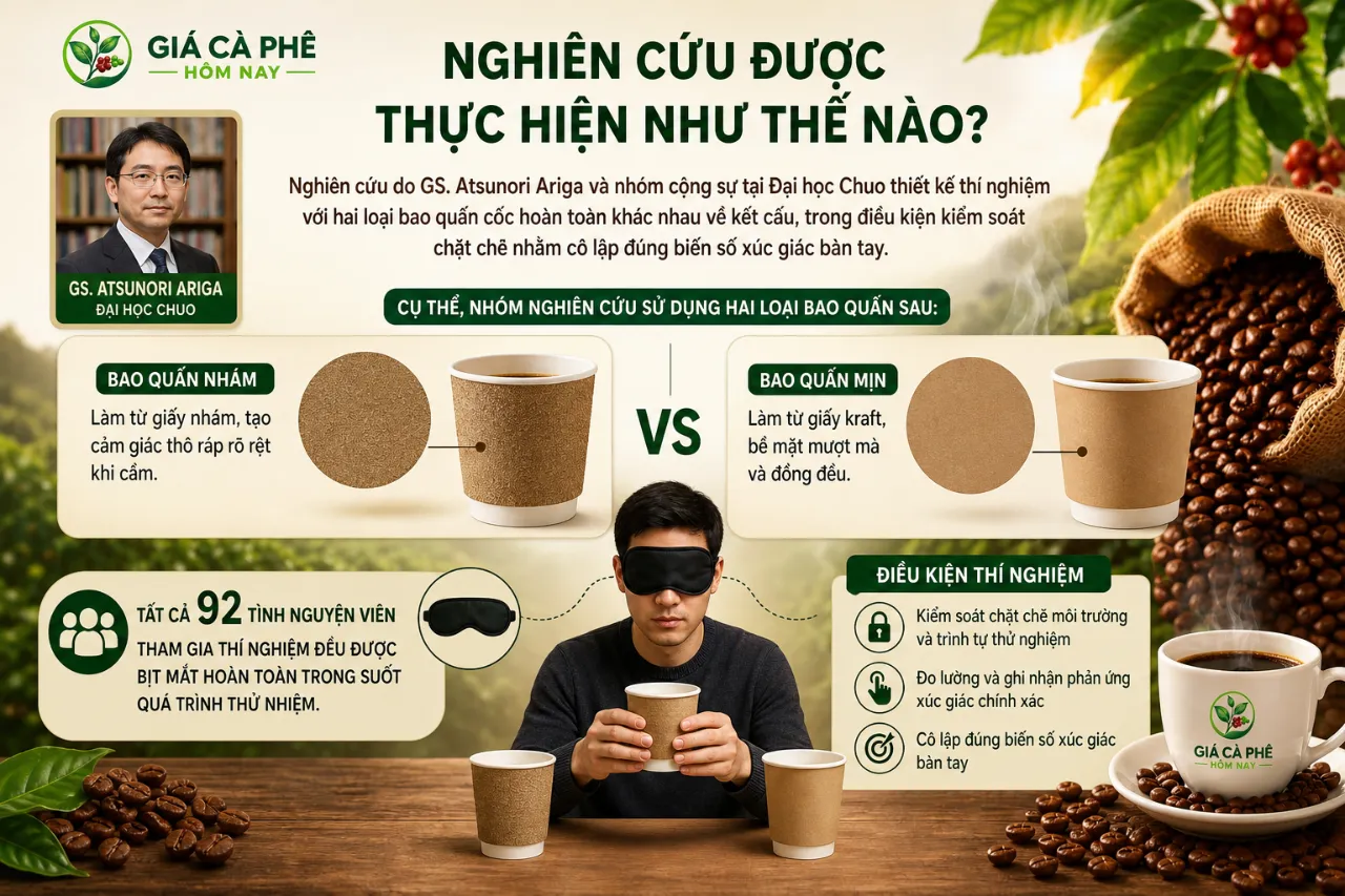 Nghiên Cứu Được Thực Hiện Như Thế Nào?