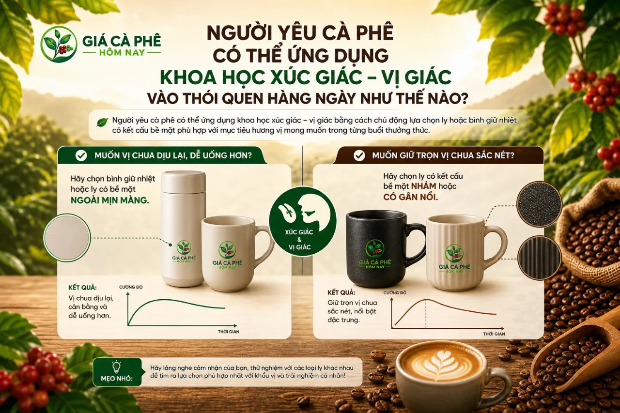 Người Yêu Cà Phê Có Thể Ứng Dụng Khoa Học Xúc Giác – Vị Giác Vào Thói Quen Hàng Ngày Như Thế Nào?
