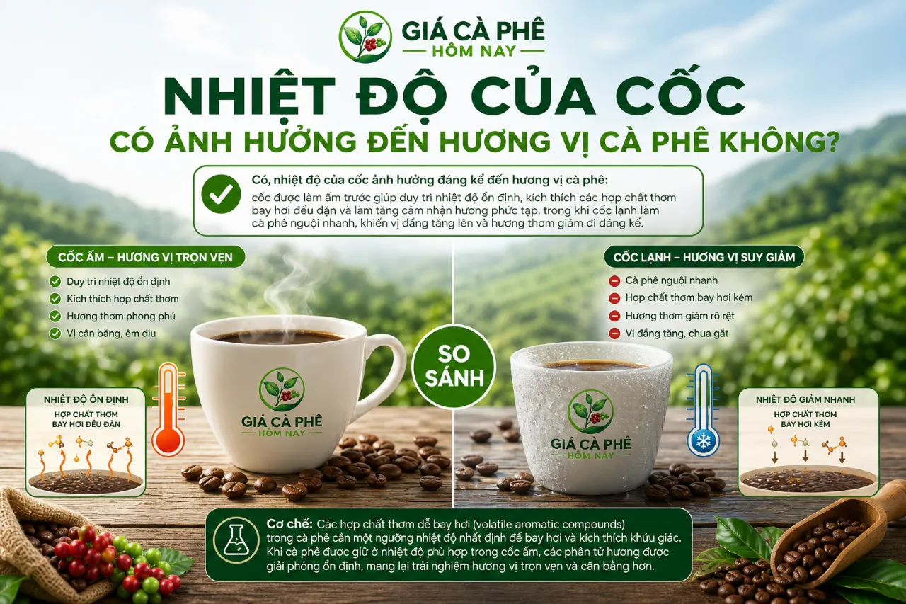 Nhiệt Độ Của Cốc Có Ảnh Hưởng Đến Hương Vị Cà Phê Không?