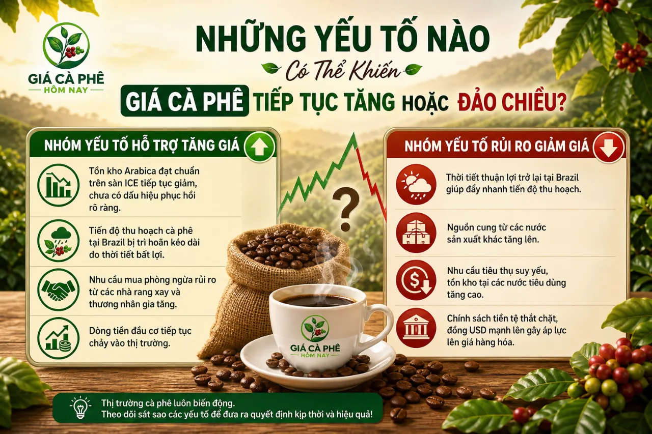 Những Yếu Tố Nào Có Thể Khiến Giá Cà Phê Tiếp Tục Tăng Hoặc Đảo Chiều?