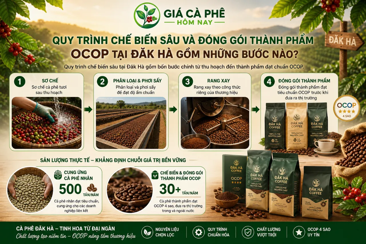 Quy Trình Chế Biến Sâu Và Đóng Gói Thành Phẩm OCOP Tại Đăk Hà Gồm Những Bước Nào?