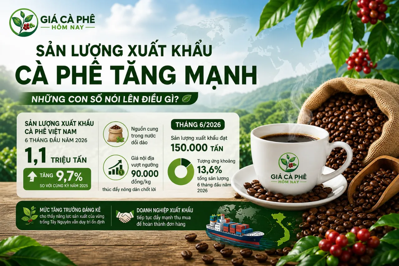 Sản lượng xuất khẩu cà phê tăng mạnh — những con số nói lên điều gì?