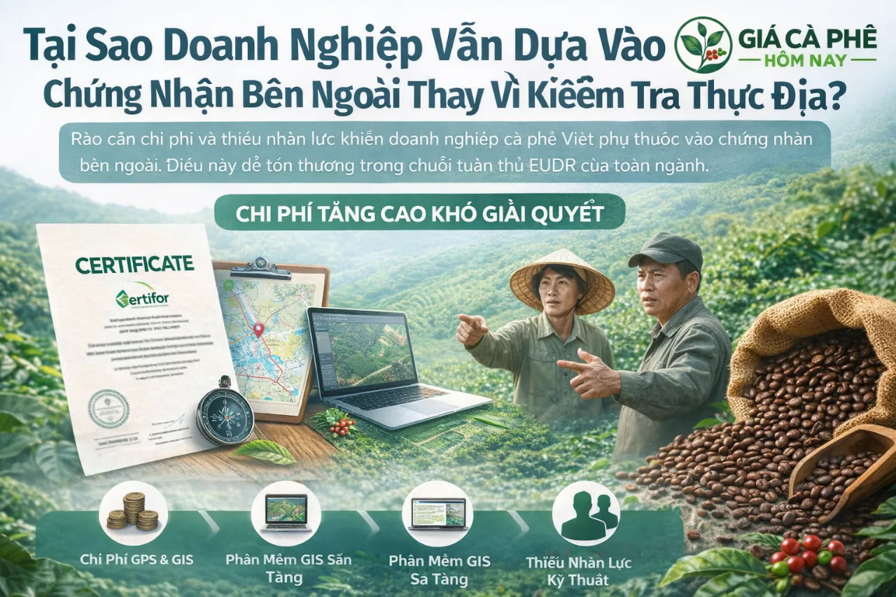 Tại Sao Doanh Nghiệp Vẫn Dựa Vào Chứng Nhận Bên Ngoài Thay Vì Kiểm Tra Thực Địa?