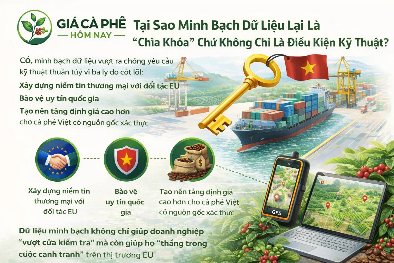 Tại Sao Minh Bạch Dữ Liệu Lại Là 