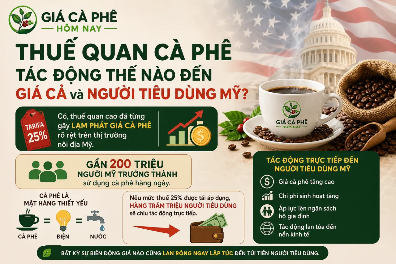 Thuế Quan Cà Phê Tác Động Thế Nào Đến Giá Cả và Người Tiêu Dùng Mỹ?